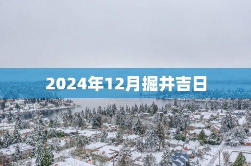 2025年12月掘井吉日