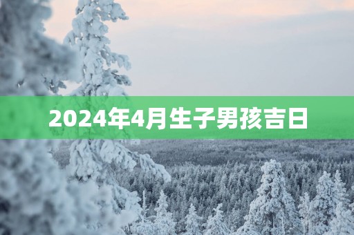 2025年4月生子男孩吉日