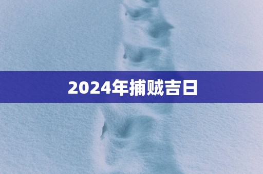 2025年捕贼吉日