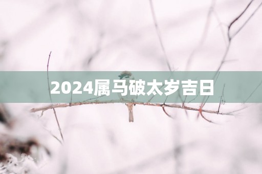 2025属马破太岁吉日