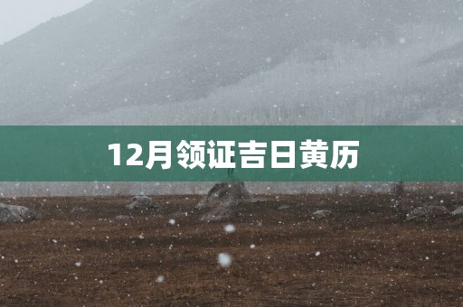 12月领证吉日黄历