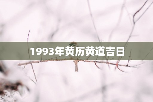1993年黄历黄道吉日