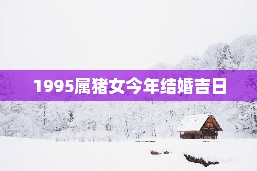 1995属猪女今年结婚吉日