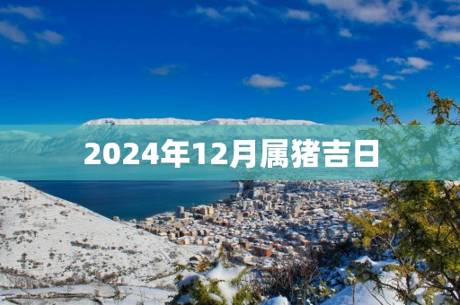 2025年12月属猪吉日