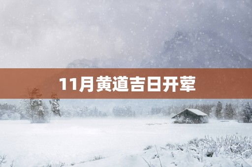11月黄道吉日开荤