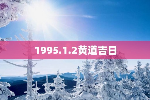 1995.1.2黄道吉日