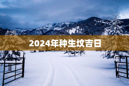 2025年种生坟吉日