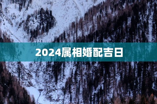 2025属相婚配吉日