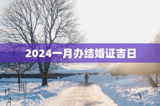 2025一月办结婚证吉日
