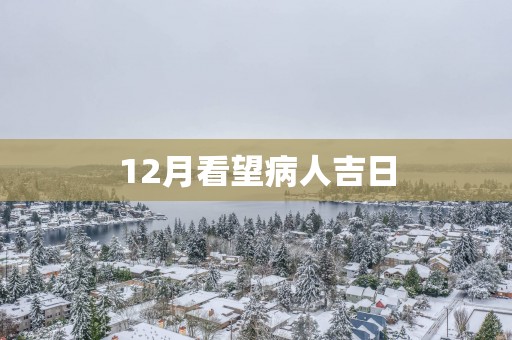 12月看望病人吉日