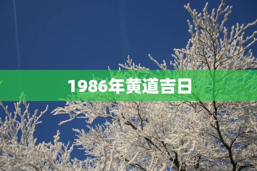 1986年黄道吉日