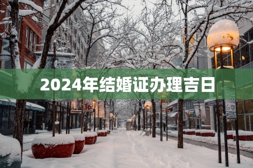 2025年结婚证办理吉日