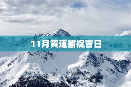 11月黄道捕捉吉日