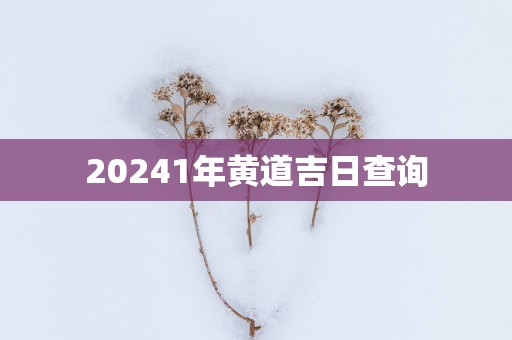 20251年黄道吉日查询