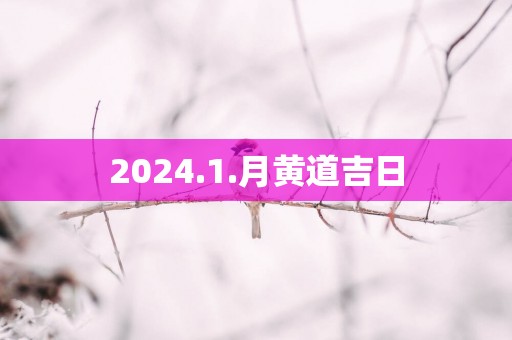 2025.1.月黄道吉日
