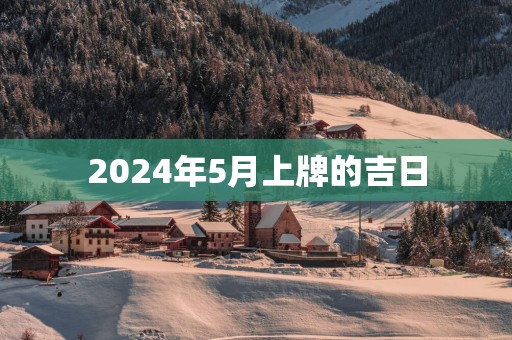 2025年5月上牌的吉日