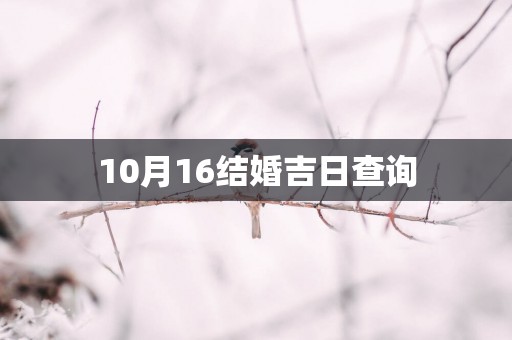 10月16结婚吉日查询