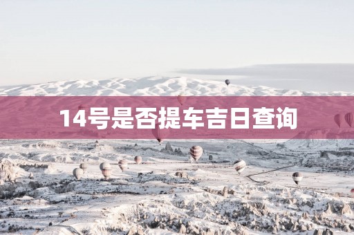 14号是否提车吉日查询