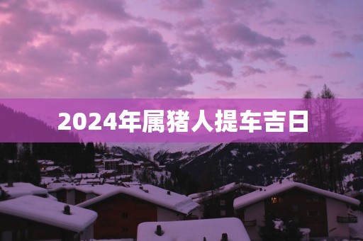 2025年属猪人提车吉日