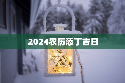 2025农历添丁吉日