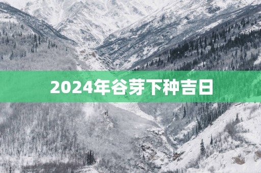2025年谷芽下种吉日