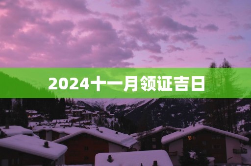 2025十一月领证吉日