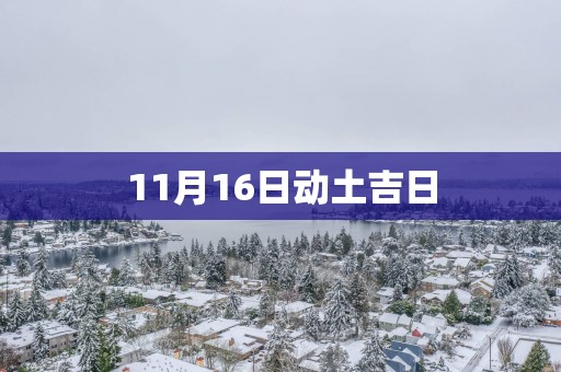11月16日动土吉日