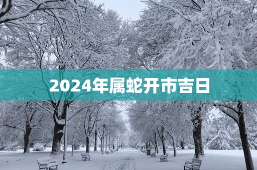 2025年属蛇开市吉日