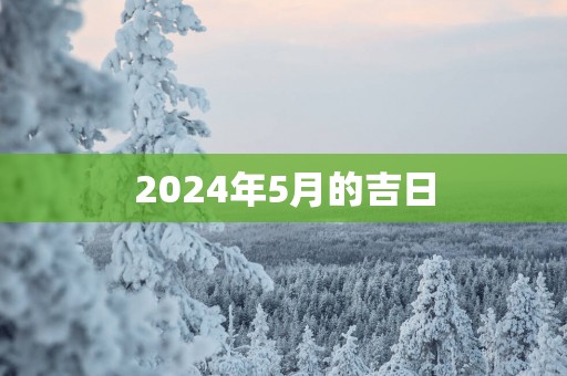 2025年5月的吉日