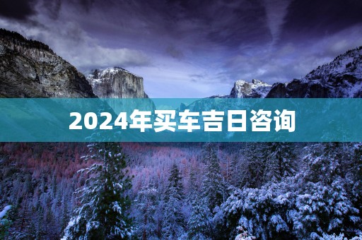 2025年买车吉日咨询