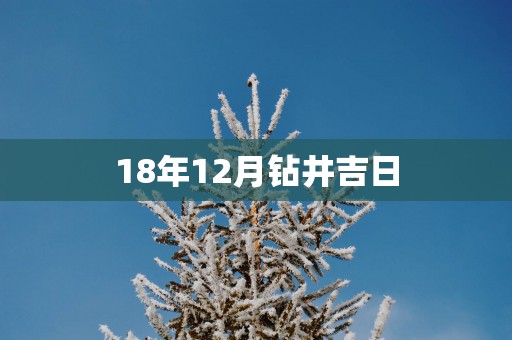 18年12月钻井吉日