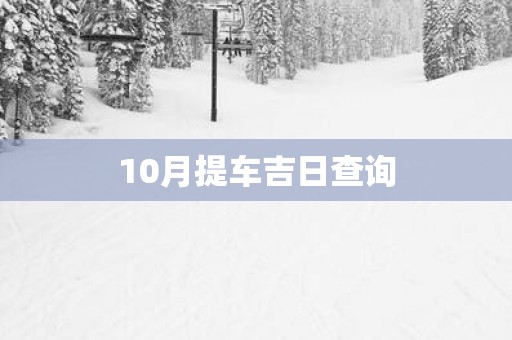 10月提车吉日查询