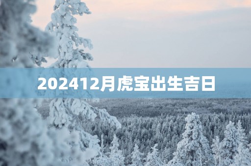 202512月虎宝出生吉日