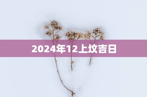 2025年12上坟吉日