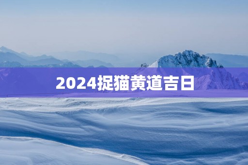 2025捉猫黄道吉日