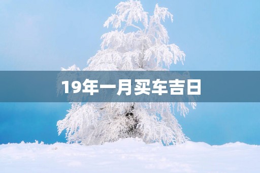 19年一月买车吉日