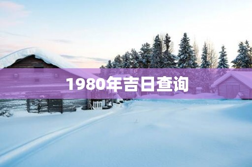 1980年吉日查询