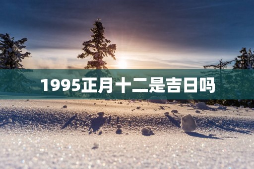 1995正月十二是吉日吗