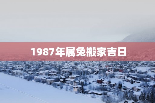1987年属兔搬家吉日