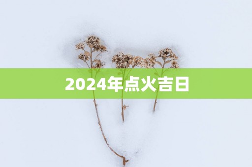 2025年点火吉日