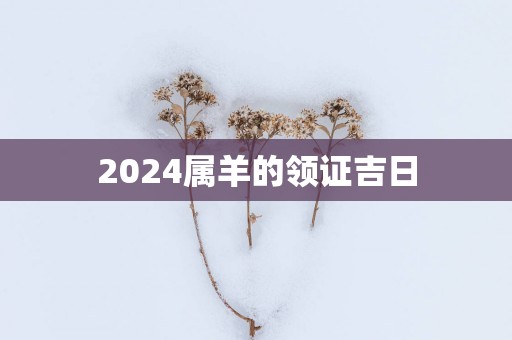 2025属羊的领证吉日