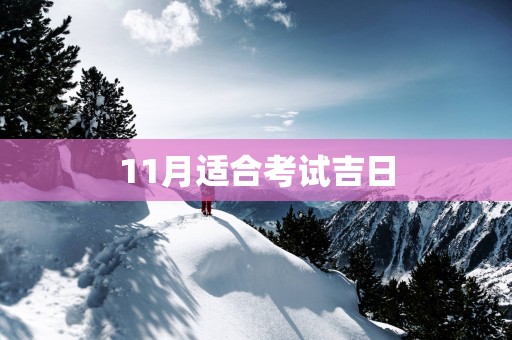 11月适合考试吉日