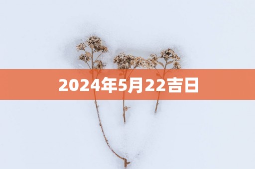 2025年5月22吉日