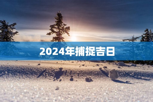 2025年捕捉吉日