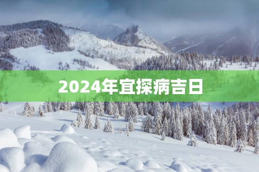 2025年宜探病吉日