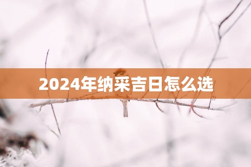 2025年纳采吉日怎么选
