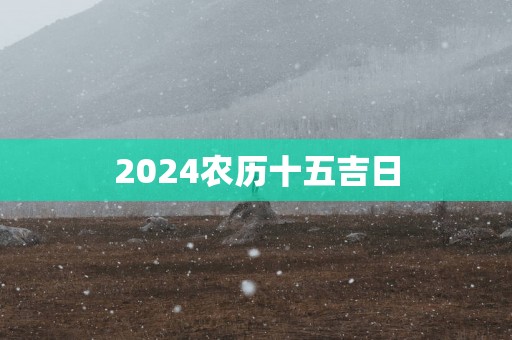 2025农历十五吉日