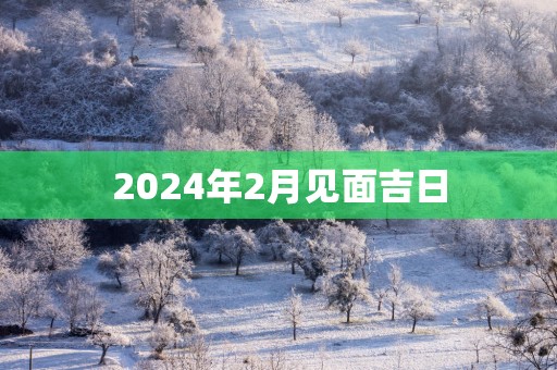 2025年2月见面吉日