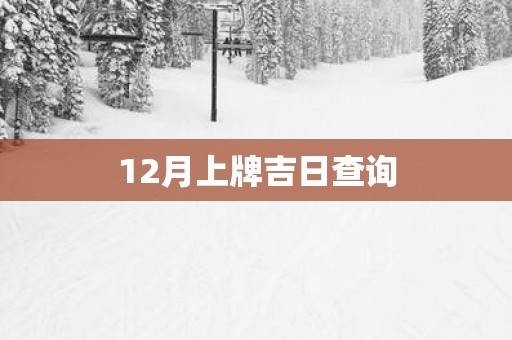 12月上牌吉日查询