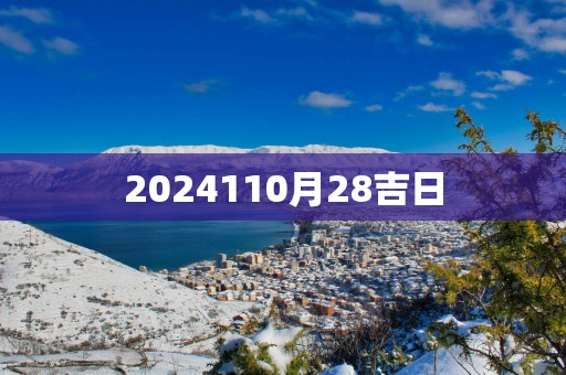 2025110月28吉日